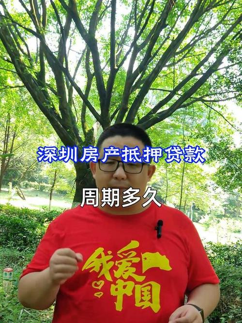 深圳大鹏新区汽车抵押贷款的注意事项(深圳汽车抵押银行贷款)